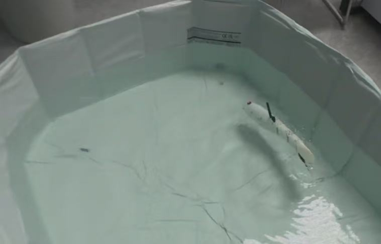 一种水下机器人仿生结构设计及实验研究
